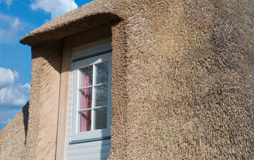 Guard House thatch roof disadvantages